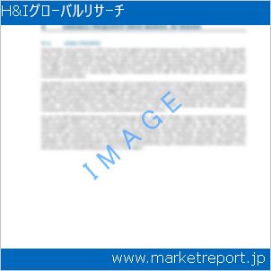 市場と産業調査レポートのイメージ